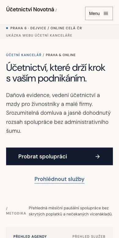 Ukázka webu Účetnictví Novotná